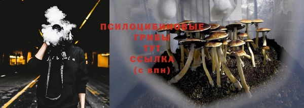 не бодяженный Переславль-Залесский