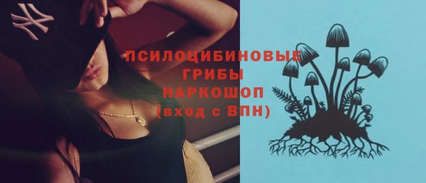 соль ск Алзамай