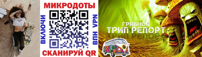 купить  цена  Сосенский  Галлюциногенные грибы Cubensis 